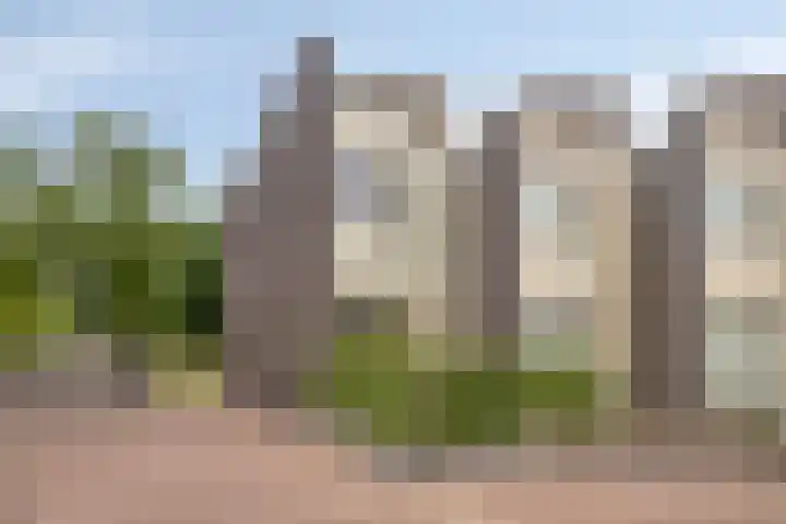 Bosleeuwerik 2 Eindhoven thumbnail 8