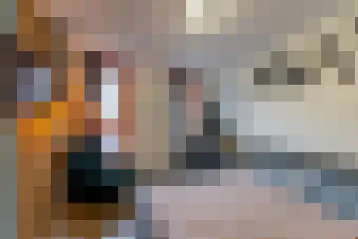 Boslelie 27 Assen thumbnail 14