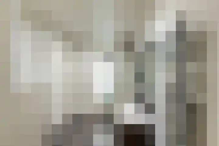 Boslelie 27 Assen thumbnail 16