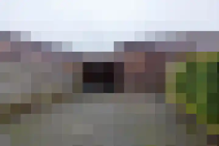 Boslelie 27 Assen thumbnail 19
