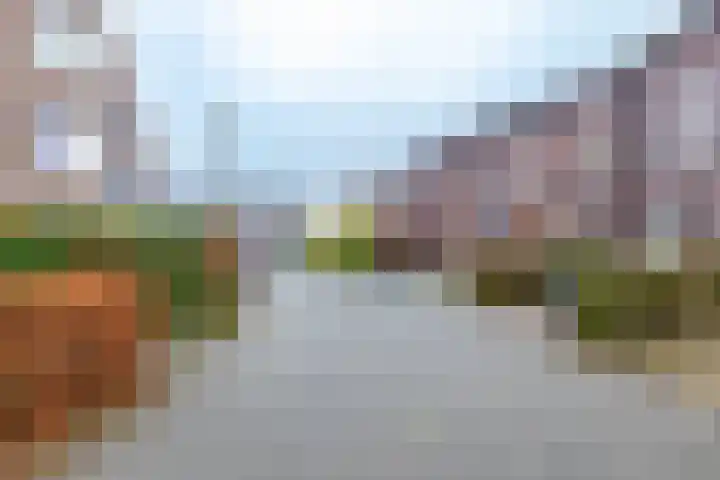 Boslelie 27 Assen thumbnail 21