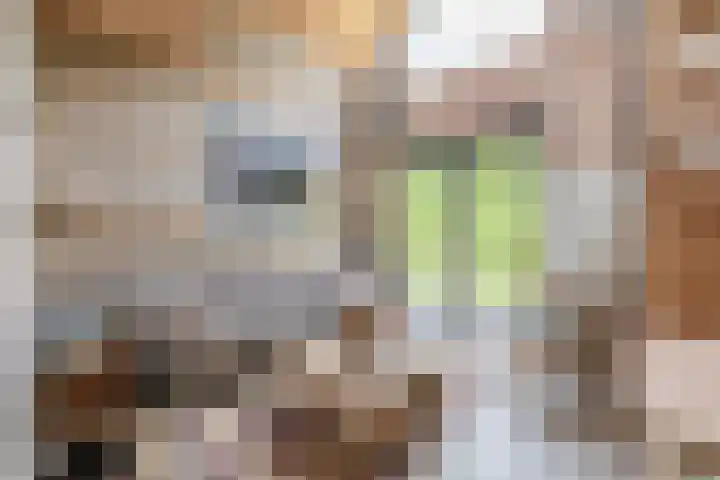 Boslust 28 Eindhoven thumbnail 11