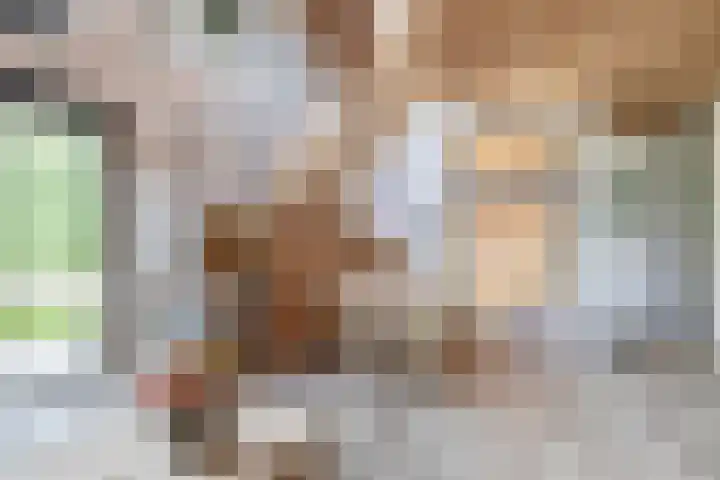 Boslust 28 Eindhoven thumbnail 12