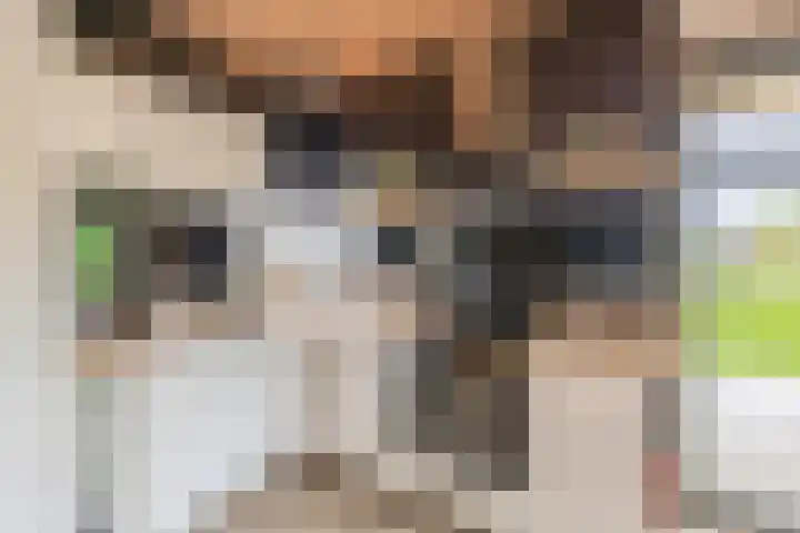 Boslust 28 Eindhoven thumbnail 16