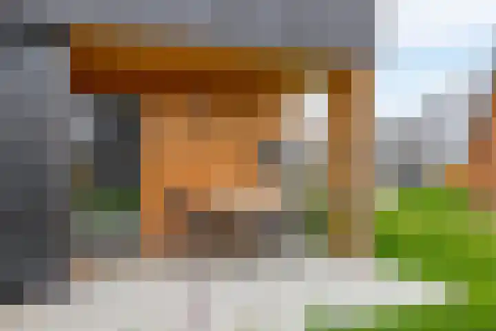 Boslust 28 Eindhoven thumbnail 30