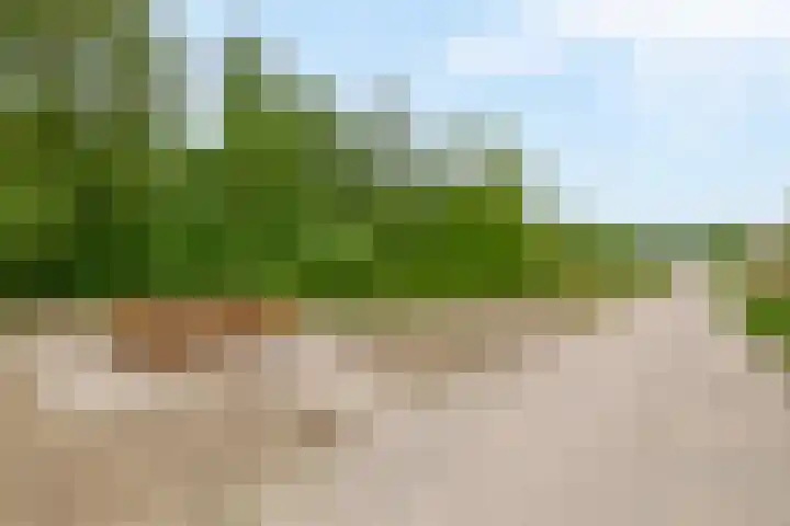 Boslust 28 Eindhoven thumbnail 31