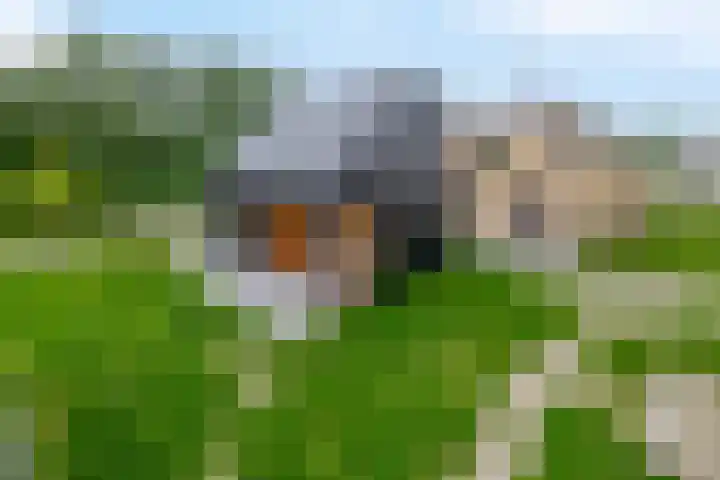 Boslust 28 Eindhoven thumbnail 5