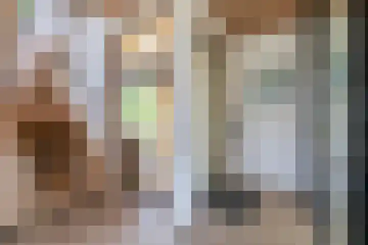 Boslust 28 Eindhoven thumbnail 9
