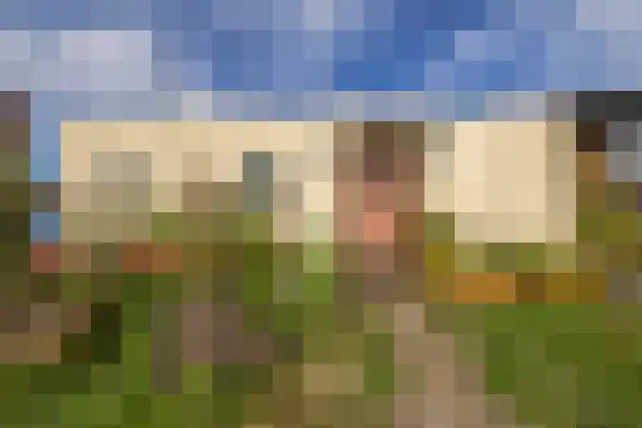 Boslust 4 Eindhoven thumbnail 10
