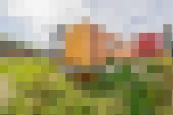 Boslust 4 Eindhoven thumbnail 34