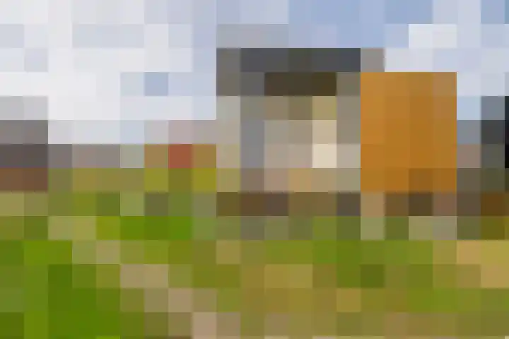 Boslust 4 Eindhoven thumbnail 35