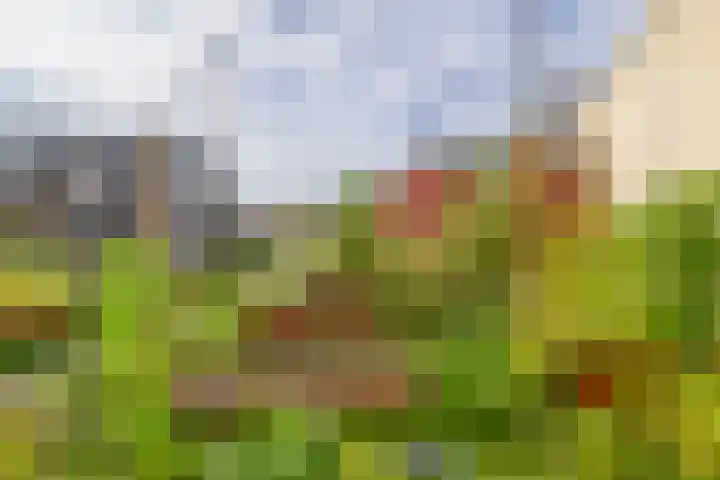 Boslust 4 Eindhoven thumbnail 40