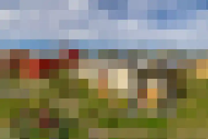 Boslust 4 Eindhoven thumbnail 8