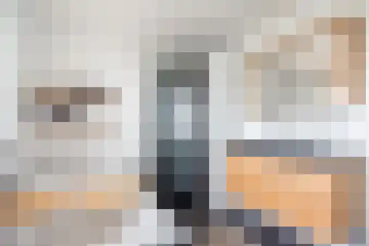 Bosmanslaan 29 Dinxperlo thumbnail 33