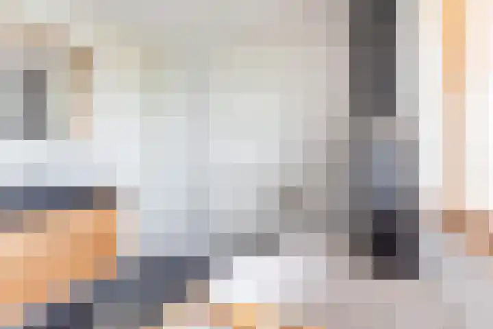 Bosmanslaan 29 Dinxperlo thumbnail 35