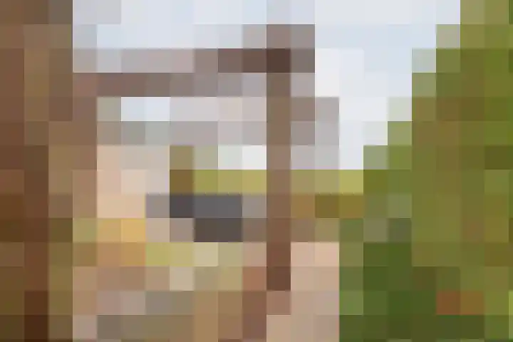 Bosmanslaan 29 Dinxperlo thumbnail 46