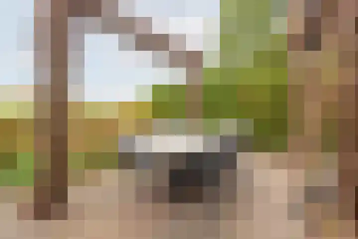 Bosmanslaan 29 Dinxperlo thumbnail 47