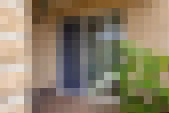Bosmastrjitte 7 Balk thumbnail 10