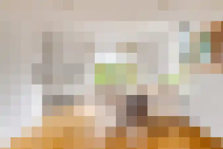 Bosmastrjitte 7 Balk thumbnail 19