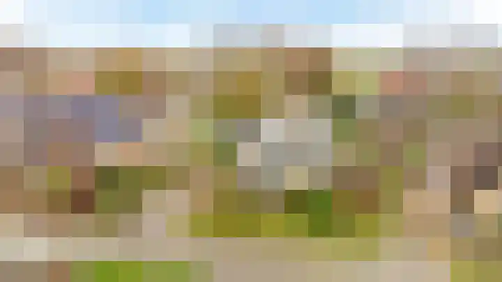 Bosmastrjitte 7 Balk foto 2