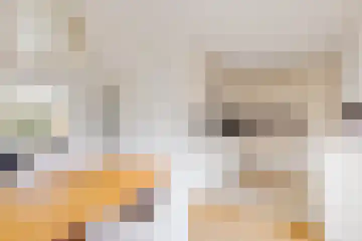 Bosmastrjitte 7 Balk thumbnail 21