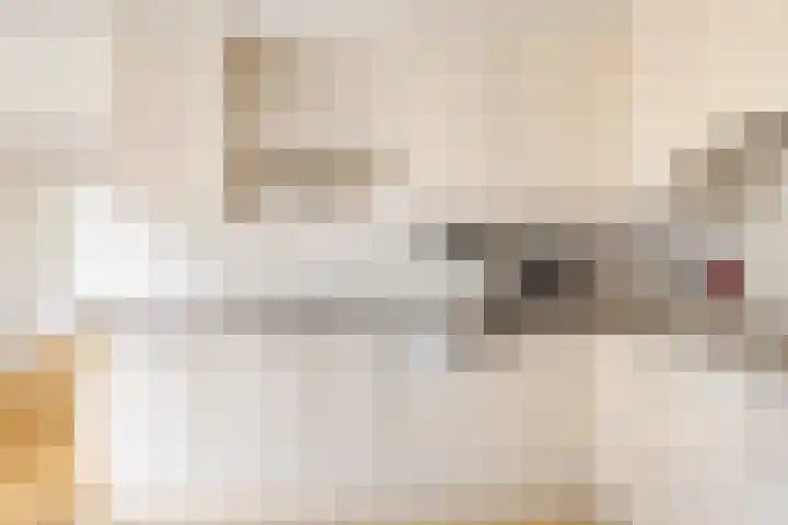 Bosmastrjitte 7 Balk thumbnail 24
