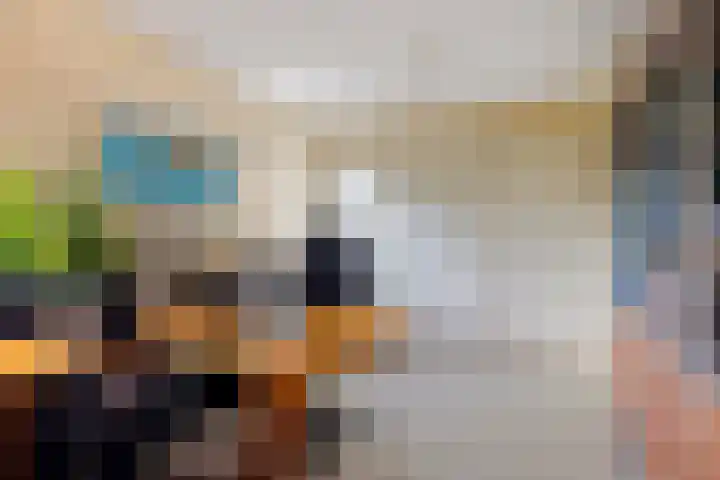 Bosmastrjitte 7 Balk thumbnail 26