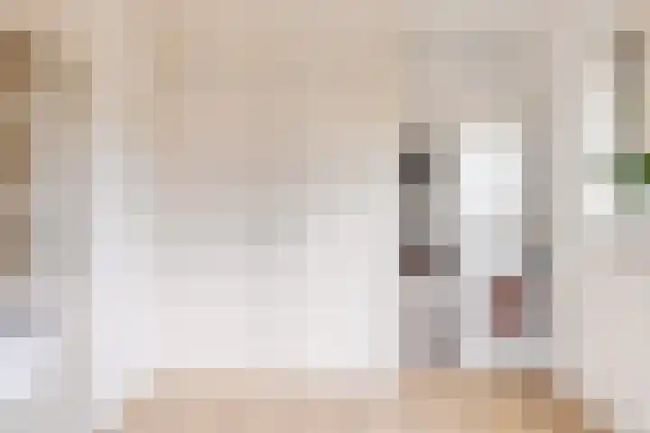 Bosmastrjitte 7 Balk thumbnail 28