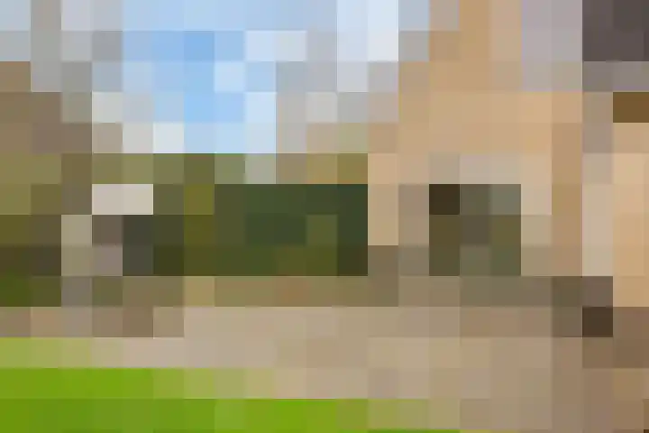 Bosmastrjitte 7 Balk thumbnail 33