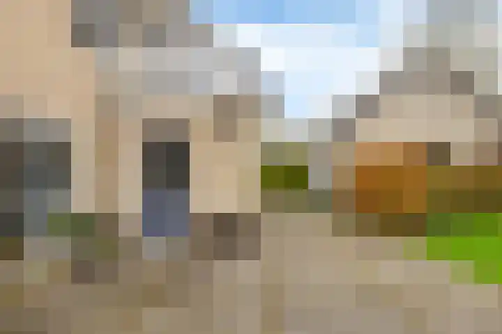 Bosmastrjitte 7 Balk thumbnail 34