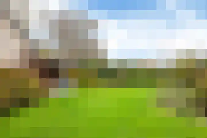 Bosmastrjitte 7 Balk thumbnail 35