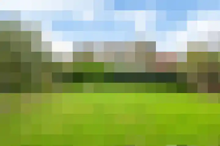 Bosmastrjitte 7 Balk thumbnail 37