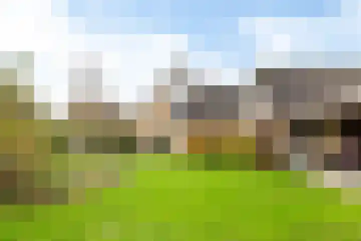Bosmastrjitte 7 Balk thumbnail 38