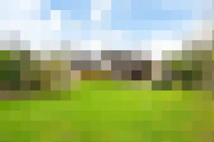 Bosmastrjitte 7 Balk thumbnail 39
