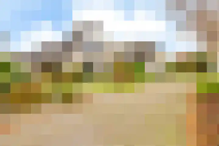 Bosmastrjitte 7 Balk thumbnail 4