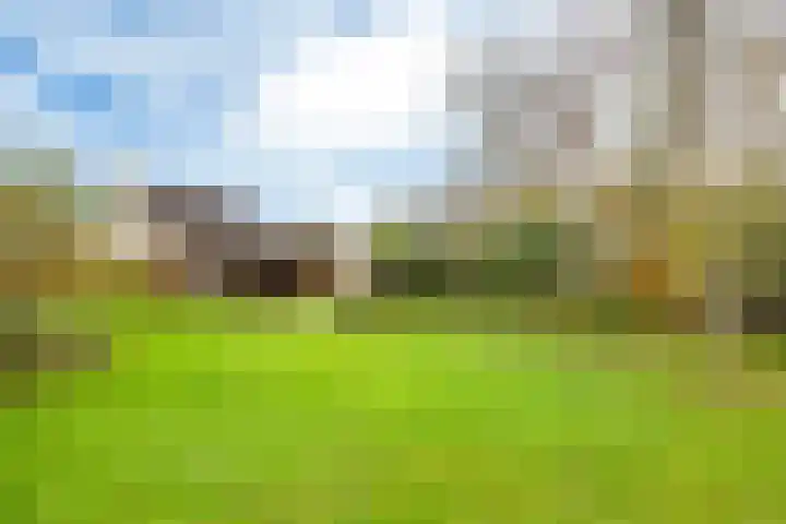 Bosmastrjitte 7 Balk thumbnail 40