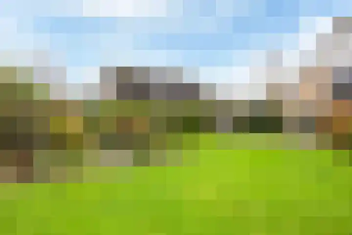 Bosmastrjitte 7 Balk thumbnail 41