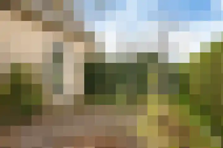 Bosmastrjitte 7 Balk thumbnail 45