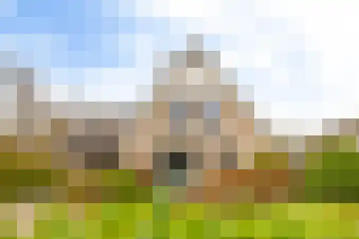 Bosmastrjitte 7 Balk thumbnail 5