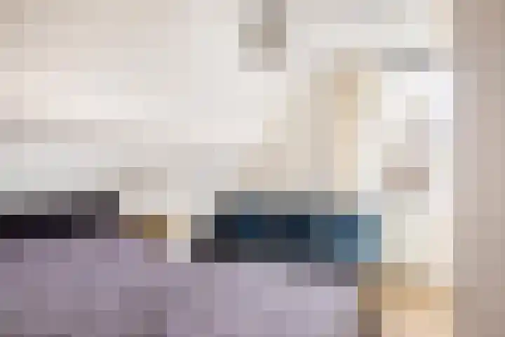 Bosmastrjitte 7 Balk thumbnail 51