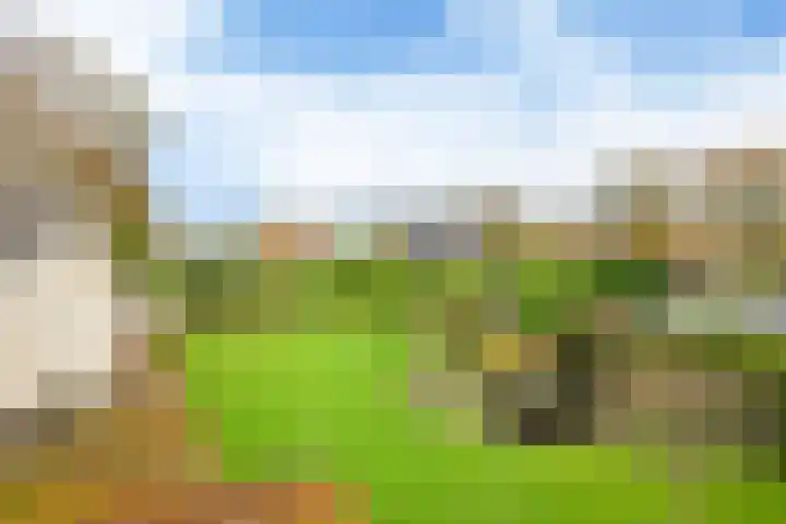 Bosmastrjitte 7 Balk thumbnail 57