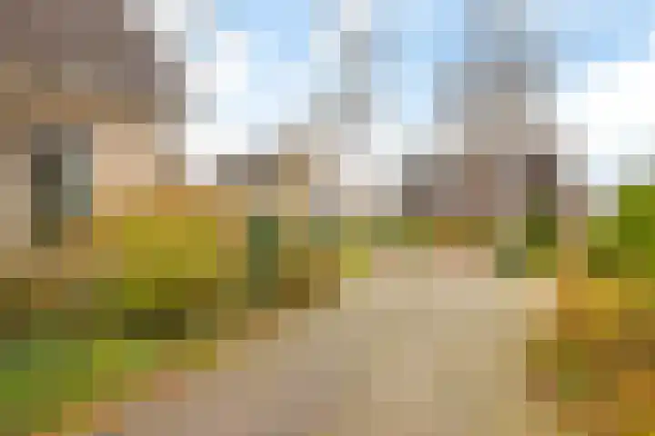 Bosmastrjitte 7 Balk thumbnail 6
