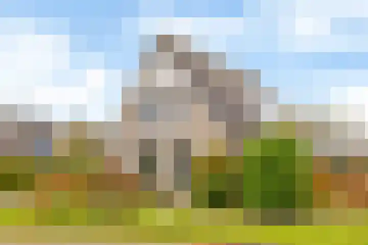 Bosmastrjitte 7 Balk thumbnail 61