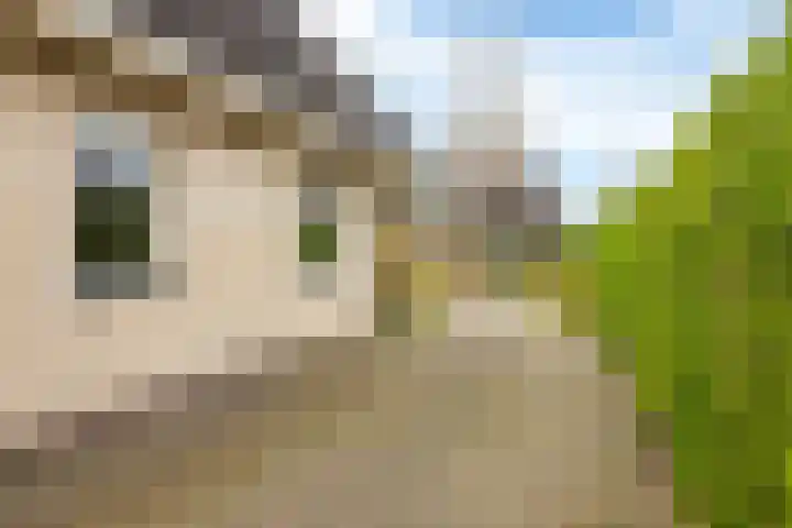 Bosmastrjitte 7 Balk thumbnail 7