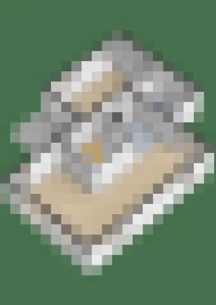 Bosmastrjitte 7 Balk thumbnail 73