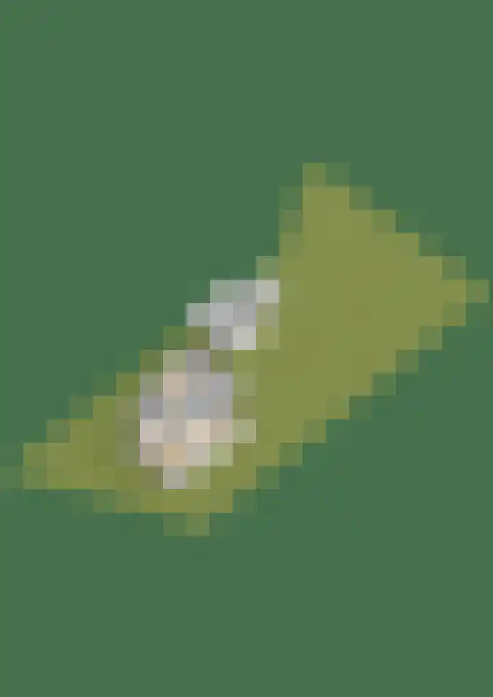 Bosmastrjitte 7 Balk thumbnail 78