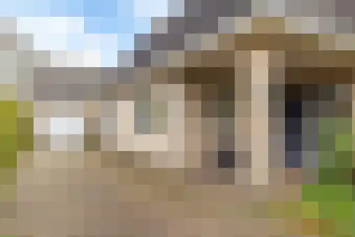 Bosmastrjitte 7 Balk thumbnail 9