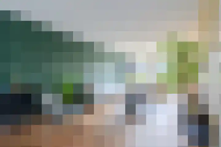Bosmuizenlaar 18 Bavel thumbnail 5