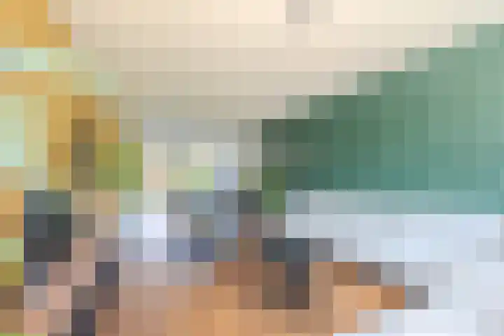 Bosmuizenlaar 18 Bavel thumbnail 6