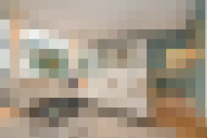 Bosmuizenlaar 21 Bavel thumbnail 14